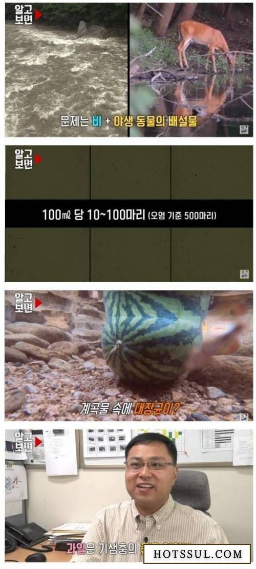 16880832515833.jpg