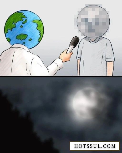 16883857568108.jpg